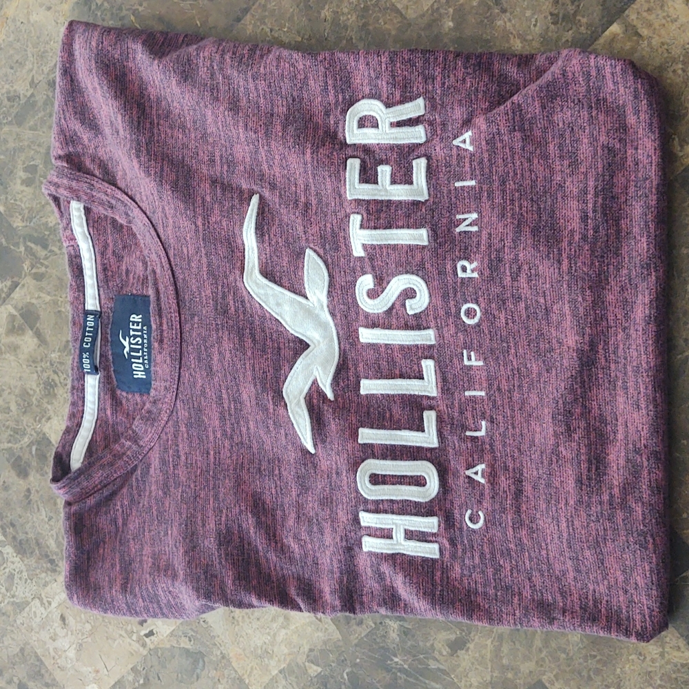 Mens Hollister tee